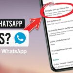 ¿Cómo saber si una persona tiene WhatsApp Plus?